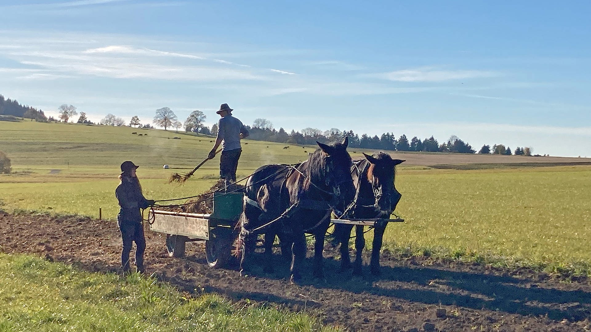 Doku & Reportage: Joachims Experiment - Landwirtschaft wie vor 100