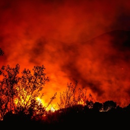 Waldbrand