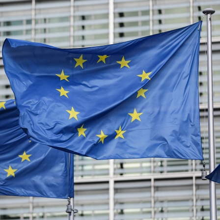 EU-Flaggen