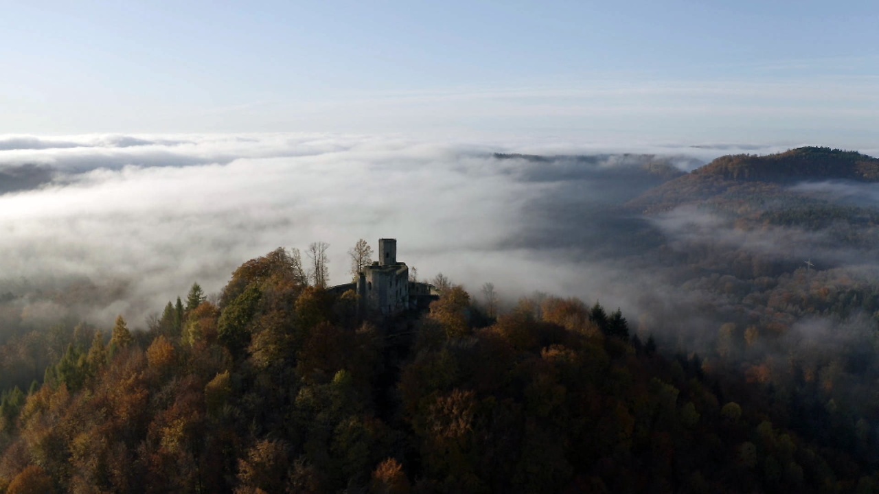 Tief im Wald: Die Pfalz und das Gräfensteiner Land