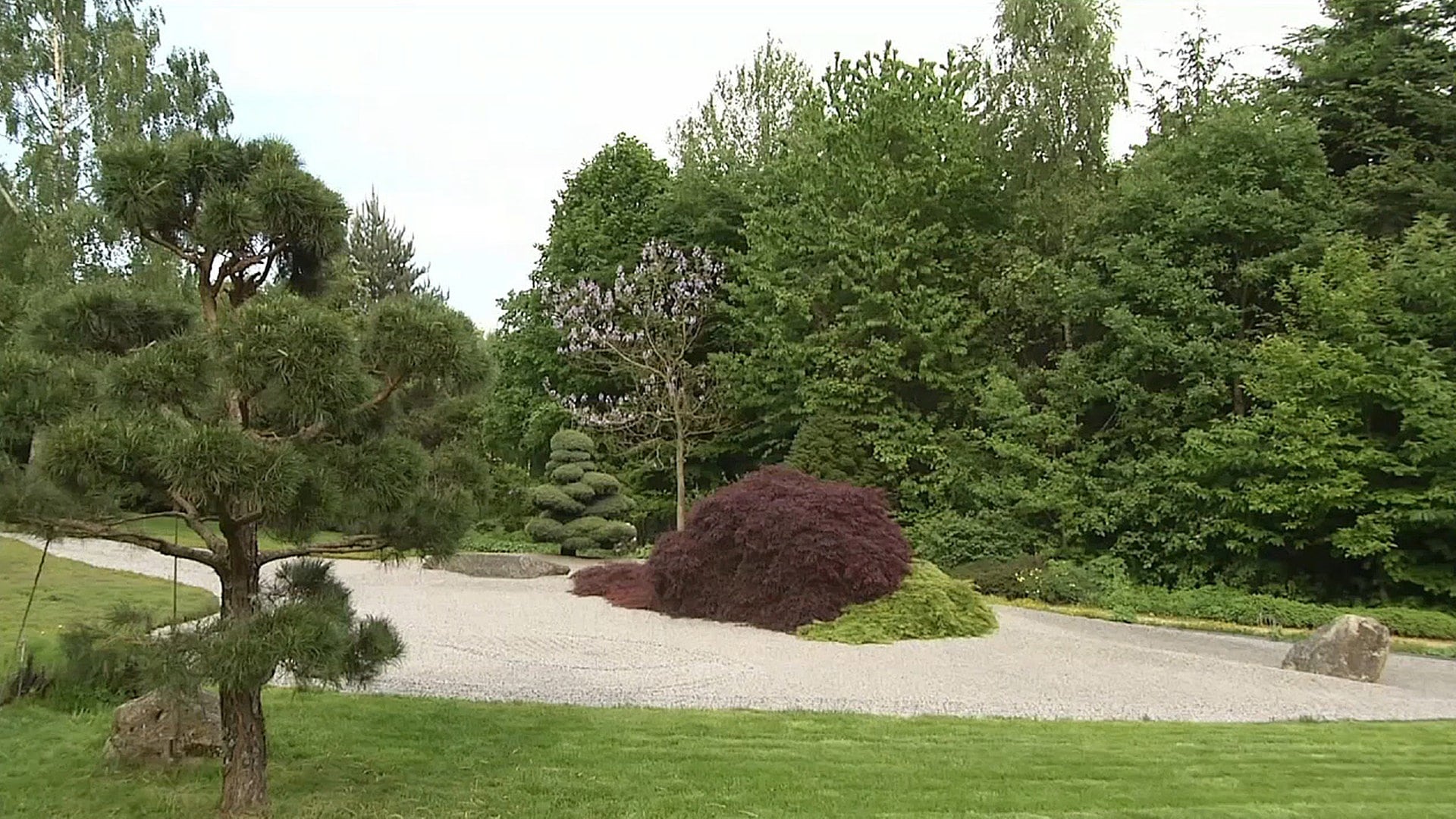 MDR Garten Ein HimalayaGarten bei Regensburg ARD Mediathek