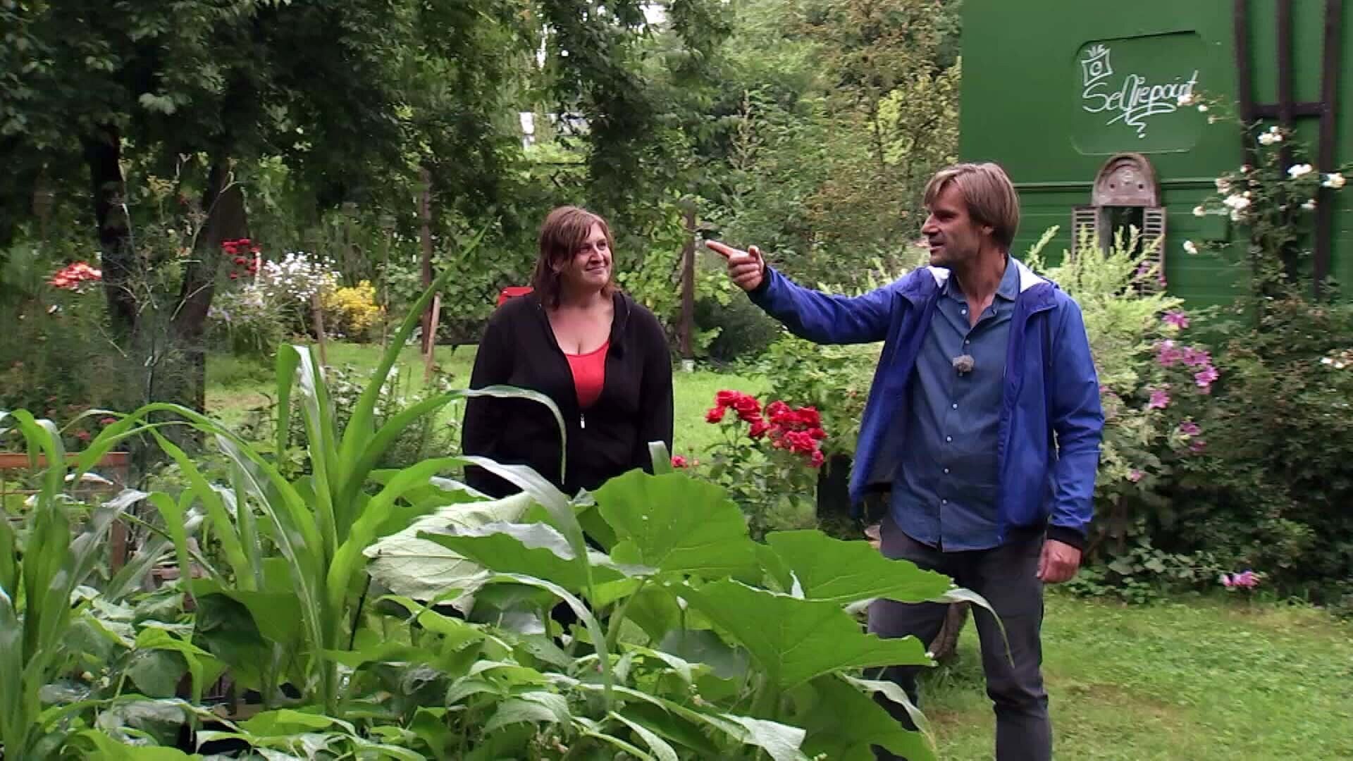 MDR Garten Schönes Grün in Delitzsch ARD Mediathek