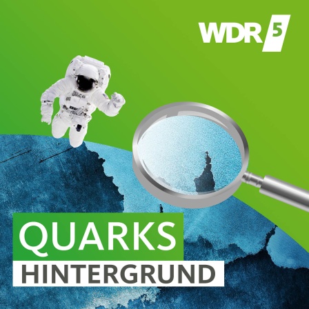 Quarks - Hintergrund