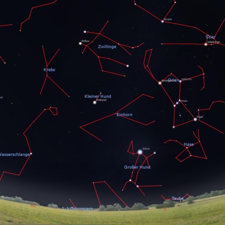 Der Sternenhimmel im Januar: Gegen Mitternacht gibt es auch am Himmel ein Feuerwerk – mit Sirius im Süden und vielen hellen Sternen höher am Firmament. 