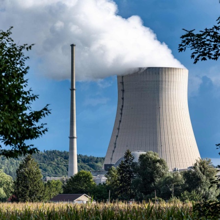 Wasserdampf steigt aus dem Kühlturm des Atomkraftwerks (AKW) Isar 2 in Bayern (Bild: dpa)