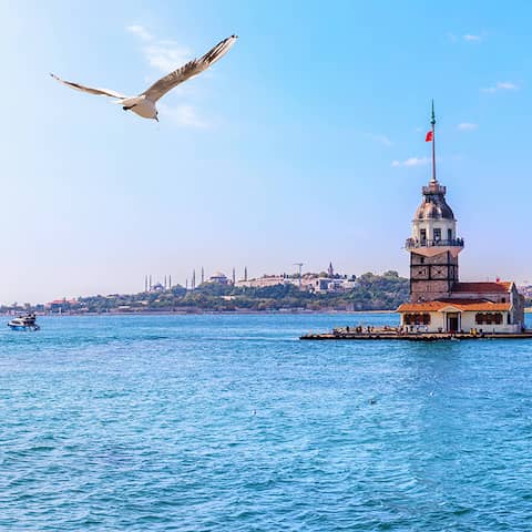 Möwen umkreisen den Leanderturm in Istanbul (Foto: Imago Images / Anton Aleksenko)