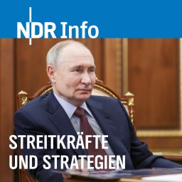 Der russische Präsident Wladimir Putin bei einem Treffen mit dem Gouverneur der Region Kamtschatka, Wladimir Solodow, im Moskauer Kreml.