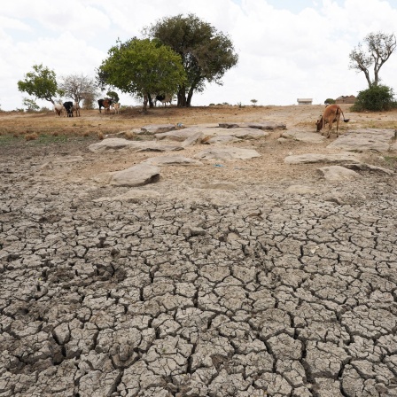 Das Land am Horn von Afrika kämpft nun mit der dritten Dürre innerhalb eines Jahrzehnts