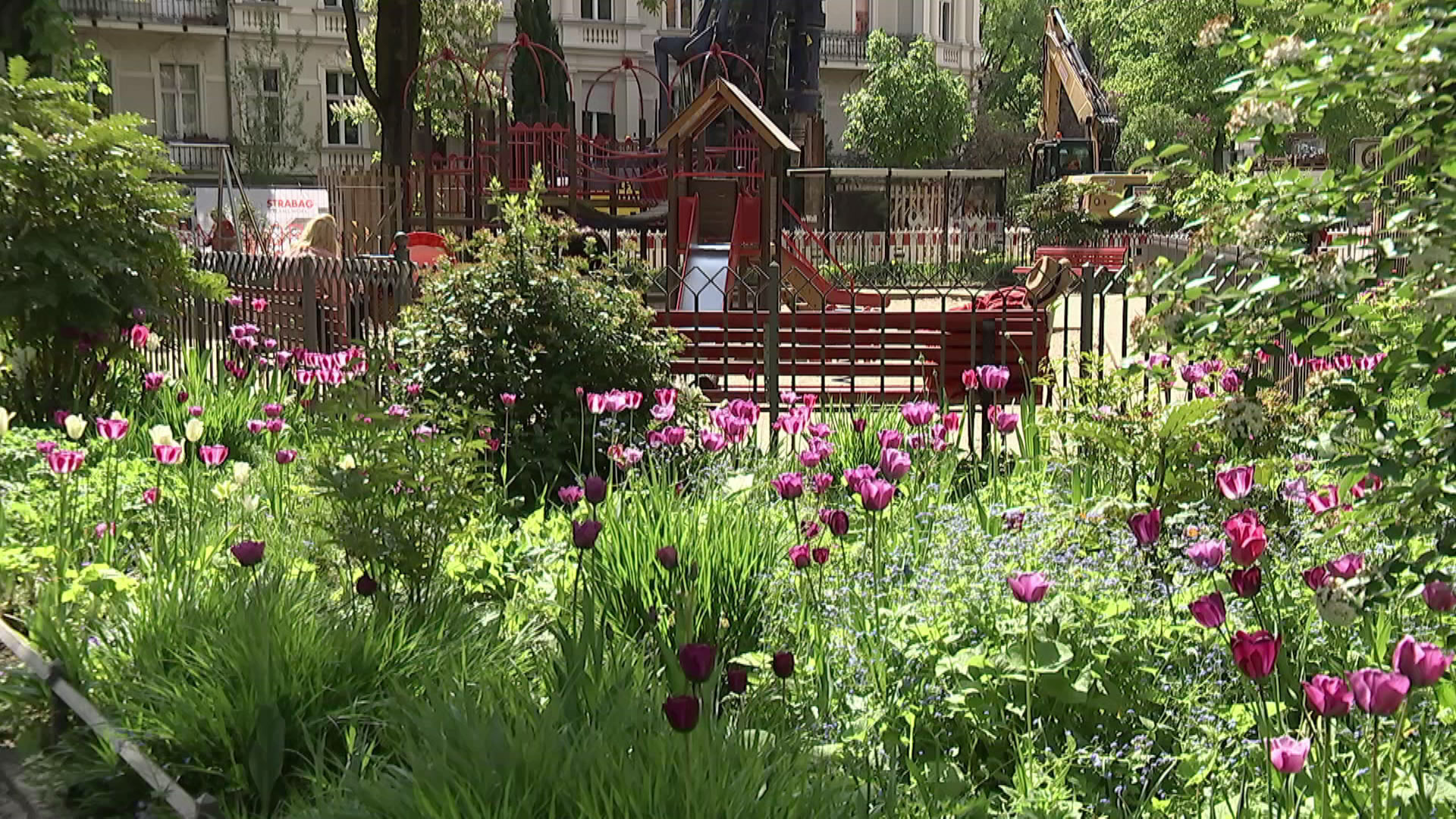 rbb Gartenzeit Blühkonzepte in der Stadt ARD Mediathek