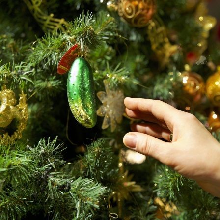 Weihnachtsgurke an einem Christbaum