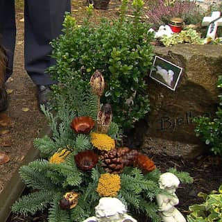 Tierfriedhof