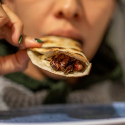 Eine Frau in Mexiko City kostet eine Quesadilla mit Wanderheuschrecken auf einem Markt. In der mexikanischen Küche kommen Insekten sehr oft, und zwar in Pulverform, getrocknet, gefroren, mit und ohne Flügeln oder Beinen auf den Tisch. 2021 hat die EU-Kommission die europäische Wanderheuschrecke als Lebensmittel zugelassen.