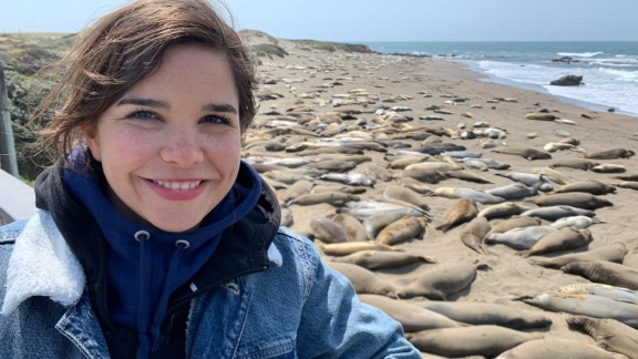 Anna, Paula, Pia Und Die Wilden Tiere - Sos Bei Den See-elefanten