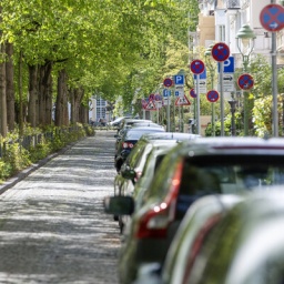 In einer Straße parken am Straßenrand viele Autos. Dort sind für Anwohnende alle paar Meter extra Schilder aufgestellt, um den Parkplatz für sie zu reservieren.