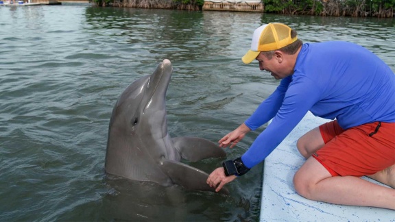 Morgenmagazin - Moma-reporter: Besuch Im Dolphin Research Center In Florida