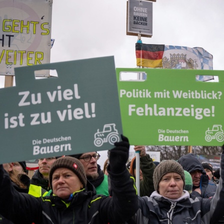 Bei einer Großkundgebung in Berlin halten einige Landwirte Protest-Schilder hoch.