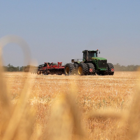 Ein Traktor bei der Ernte auf einem Feld im Oblast Odessa in der Ukraine.