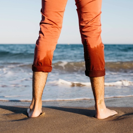 Wenn man barfuß im Sand oder am Strand läuft, sind die Fußmuskeln hoch aktiv