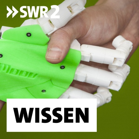Der menschenähnliche Roboter Bob