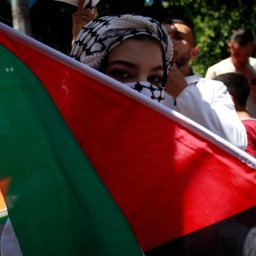 "Pro-palästinensisch" - beschreiben Medien Porteste zu einseitig?