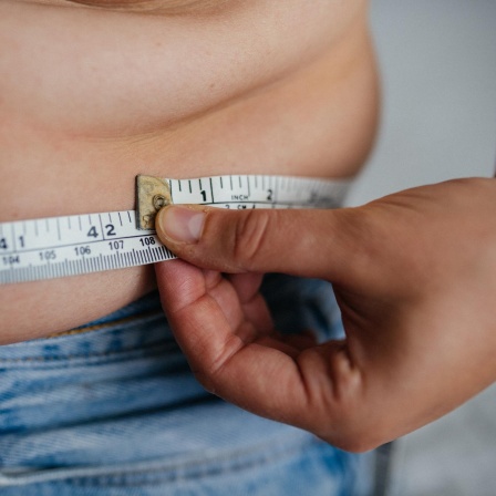 Fettleibigkeit - Warum werden wir dick?