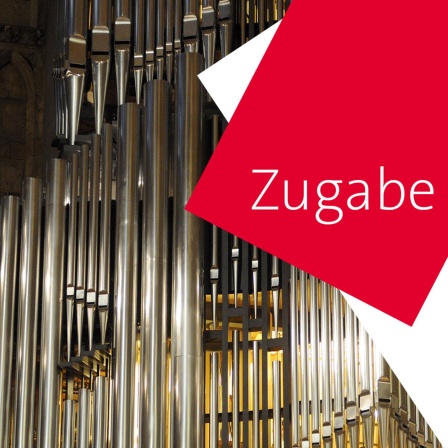 Zugabe: Instrument des Jahres 2021 - Die Orgel