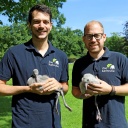 Dr. Lukas Reese (links) und Dr. Marco Roller mit zwei jungen Zwergflamingos, die von Hand aufgezogen werden.
