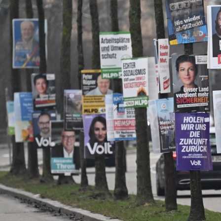 Wahlplakate am Straßenrand