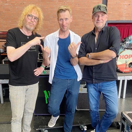 Christoph Stein Schneider ( Git), Tobias Kluge ( MDR), Kai Wingenfelder ( Sänger) von Fury in the slaughterhouse
