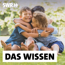 Drei kleine Geschwister umarmen sich lachend auf einer Wiese: Geschwister gehören zu den ersten und oft einflussreichsten Beziehungen unseres Lebens. Die Rollen, die wir miteinander aushandeln, können uns auch weit übers Familienleben hinaus prägen. Aber welchen Einfluss haben Anzahl, Geschlecht und Geburtsreihenfolge der Geschwister tatsächlich auf unsere Entwicklung und Persönlichkeit?