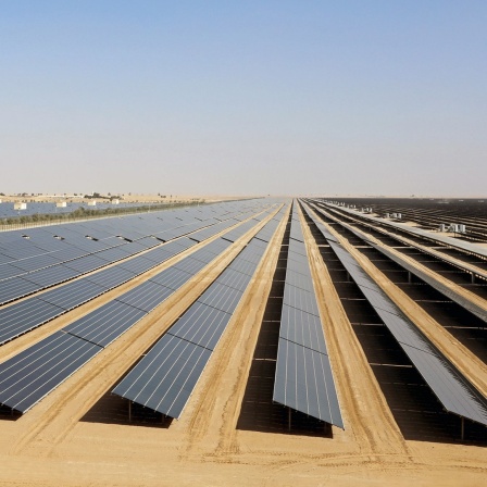 Große Reihen Solaranlagen im Mohammed bin Rashid Solar Park.