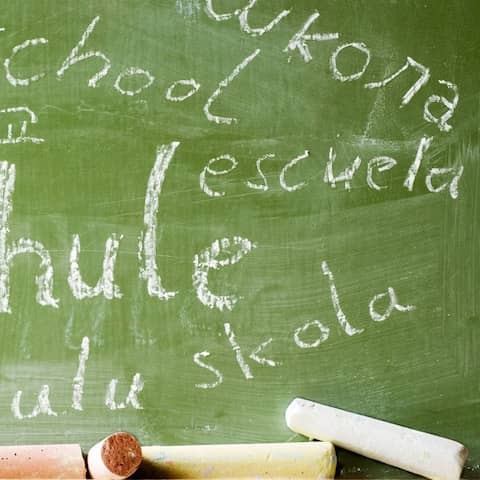 Schule - in mehreren Sprachen an einer Kreidetafel geschrieben. Einige Schulen setzen darauf, die Mehrsprachigkeit der Schüler gezielt für den Deutschunterricht zu nutzen.