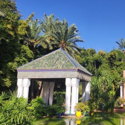 Eine Teich vor bunten Häusern und einer Palme in im Garten Majorelle, Marrakesch