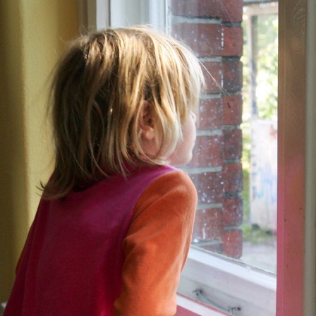 Symbolbild: Ein Kind schaut aus dem Fenster auf eine verwahrloste Grünfläche mit graffiti-bemalter Bude.