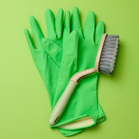 Grüne Plastikhandschuhe und eine Putzbürste auf grünem Hintergrund