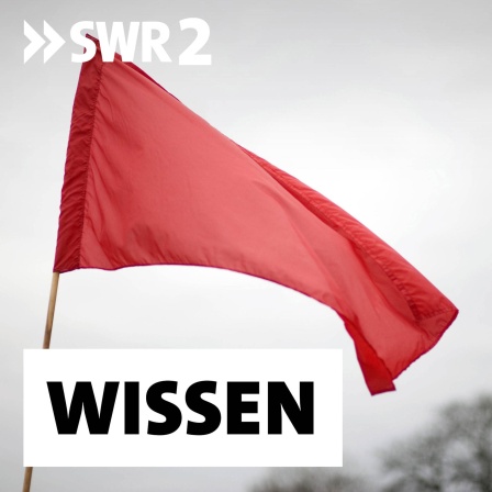 Rote Fahne beim Gedenken an der Gedenkstaette der Sozialisten in Berlin.