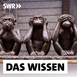 Wenn wir Informationen meiden, die uns sogar nützen könnten, sprechen Psychologen von bewusster Ignoranz.