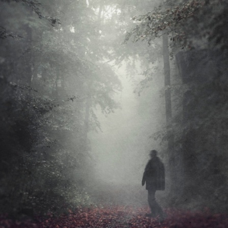 In einem nebligen Wald ist die Silhouette eines einsamen Wanderers zu erkennen