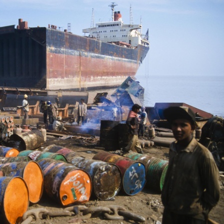 Die letzte Reise der "Westerhamm" - Schrottschiffe in Indien