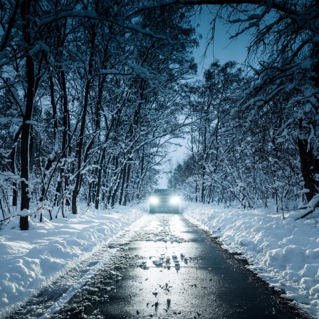 Scheinwerfer von einem Auto auf einer schmalen schneebedeckten Straße durch einen Wald.