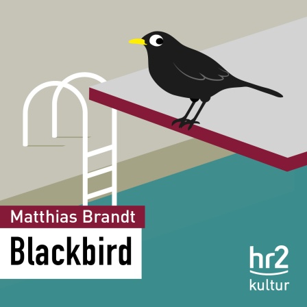 hr2 Blackbird