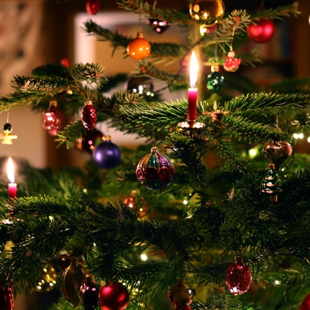 Kerzen brennen in einem Wohnzimmer an einem festlich geschmückten Weihnachtsbaum