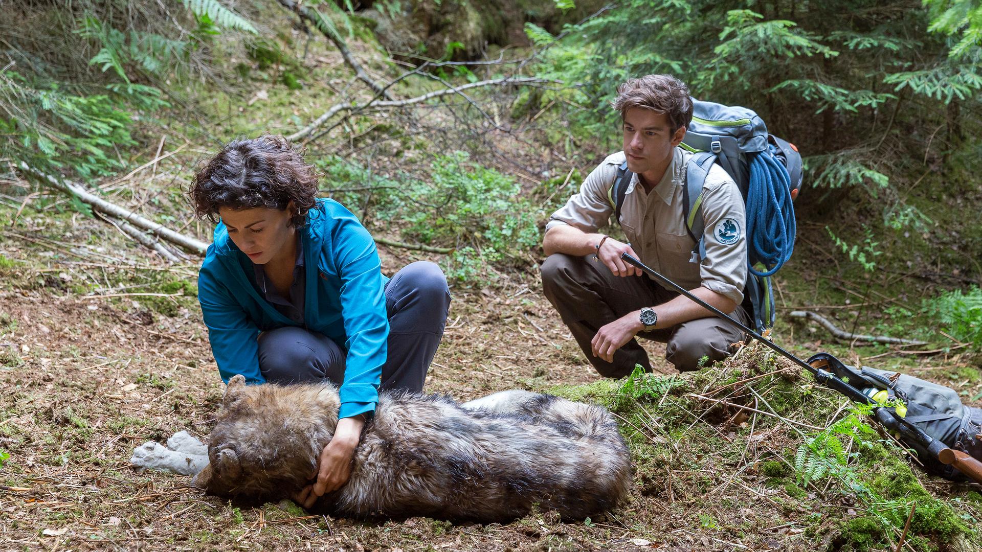 Videos zu Der Ranger · Paradies Heimat ARD Mediathek