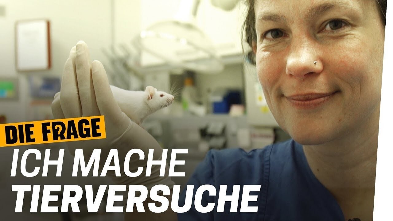 Die Frage: Tierversuche Doku: Warum brauchen wir Tierversuche? | Warum ...