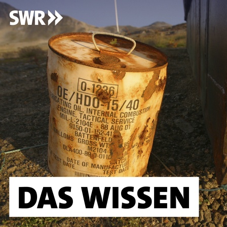 Rostiger Behälter mit Schmieröl für ein US-Militärfahrzeug nahe der ostgrönländischen Siedlung Kulusuk. Die US-Militärbasis wurde Ende der 1950er-Jahre errichtet und sollte eine Abschusbasis für Atomraketen werden.