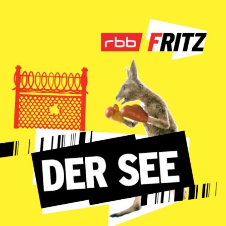 Das Känguru trägt Boxhandschuhe (Grafik: Lena Dickmann | finetype)