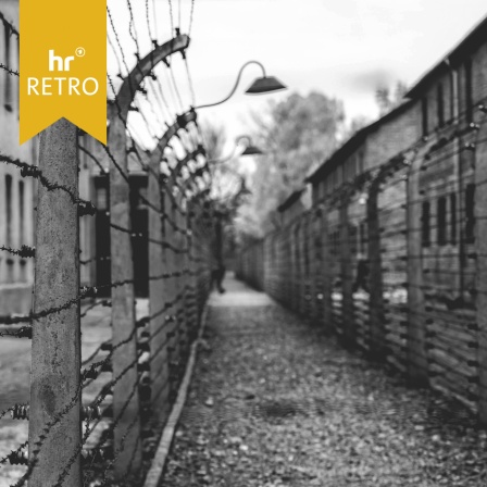 Geländes des ehemaligen Konzentrationslagers Auschwitz. Ein schmaler Weg verläuft zwischen zwei hohen Zäunen mit Stacheldraht. Auf beiden Seiten stehen alte Backsteingebäude, entlang des Weges sind gebogene Laternen angebracht. 