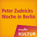 Da ist Friedrich Merz schon wieder kein Vorsitzender geworden