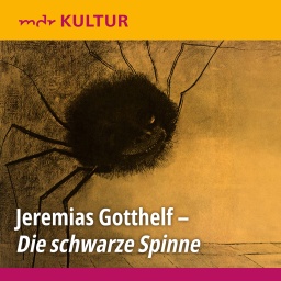 Jeremias Gotthelf: Die schwarze Spinne