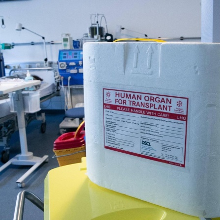 Eine Organspendebox steht in einem Krankenhaus.